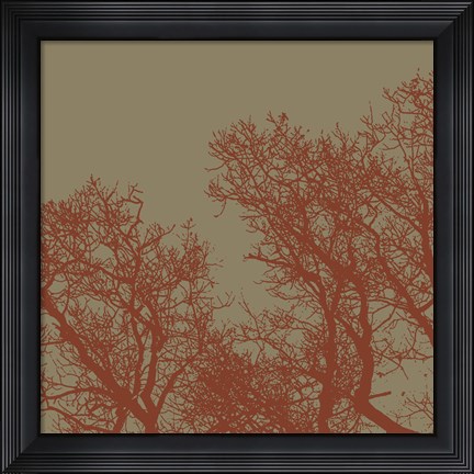 Framed Cinnamon Tree I Print