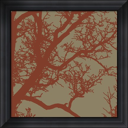 Framed Cinnamon Tree IV Print