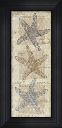 Framed Star Fish Print