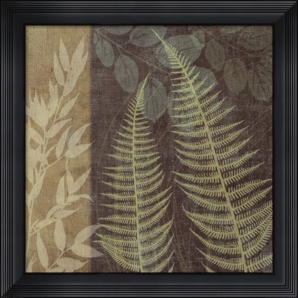Framed Ferns I Print