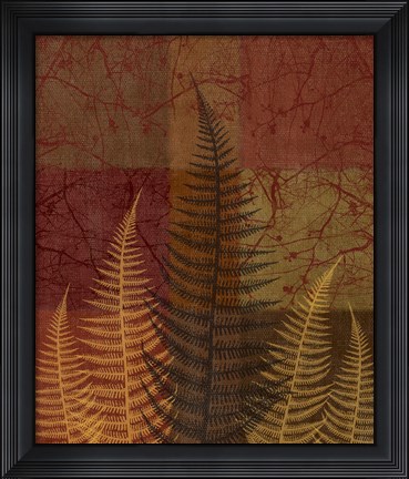 Framed Ferns II Print
