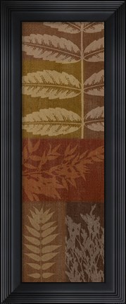 Framed Foliage II Print