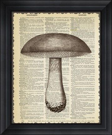 Framed Mushroom Print