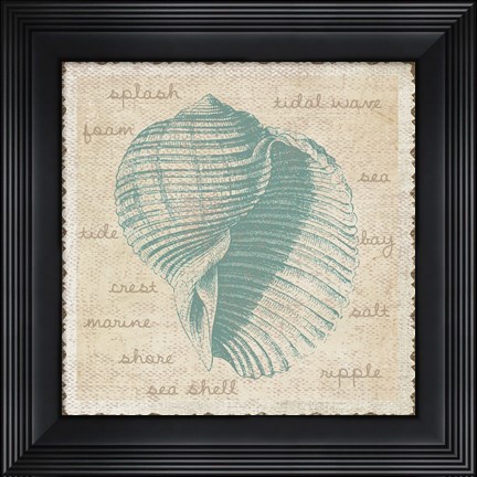 Framed Shell Print