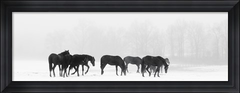 Framed Crossing Print