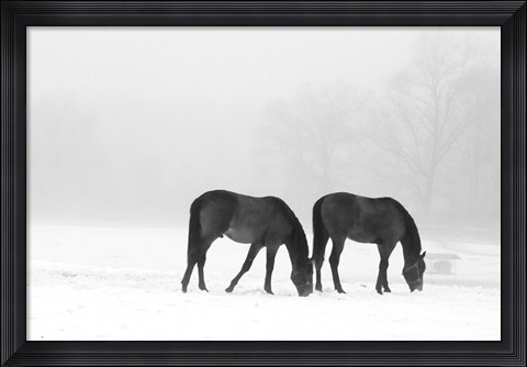 Framed Feeding Pair Print