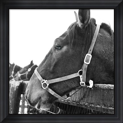 Framed Looking Ahead Print