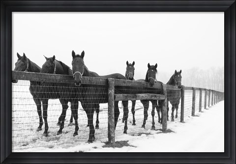 Framed Six Faces Print