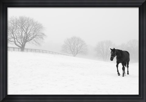 Framed Walking In Fog Print