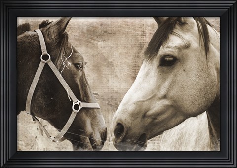 Framed Horse Pair Print
