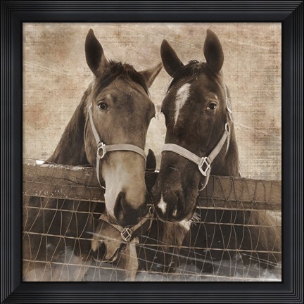 Framed Trio Vintage Print