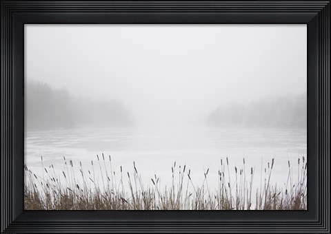 Framed Foggy Reeds Print