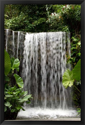 Framed Singapore, National Orchid Garden, Waterfall Print