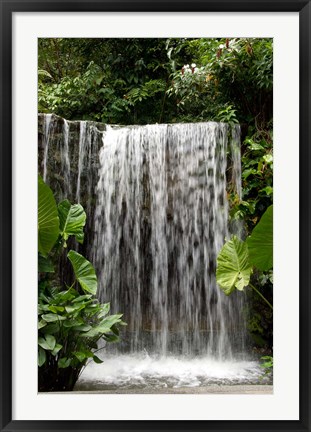 Framed Singapore, National Orchid Garden, Waterfall Print