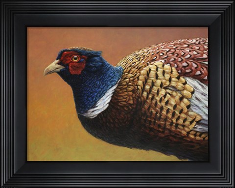 Framed Pheasant Print