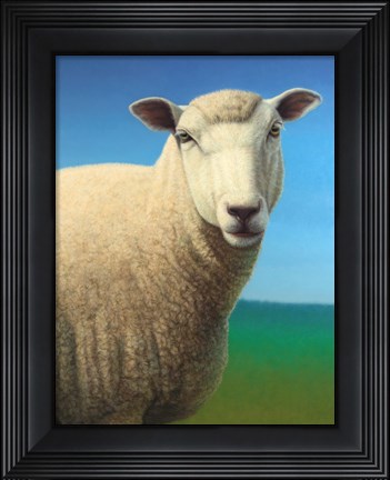 Framed Sheep Print