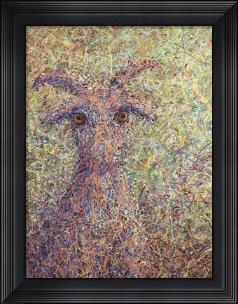 Framed Wildgoat Print