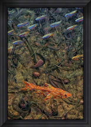 Framed Aquarium 2 Print
