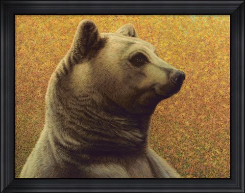 Framed Bear Print