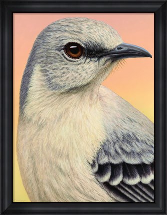 Framed Mocking Bird Print