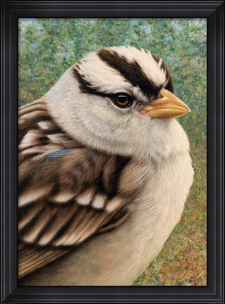 Framed Sparrow Print