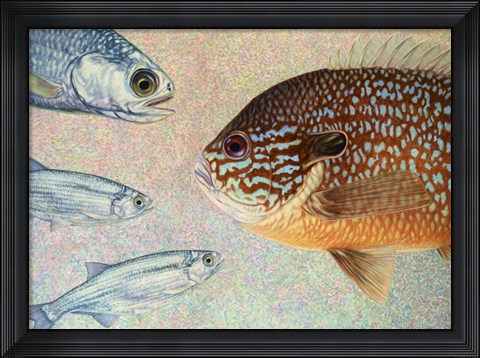 Framed Mooneyes - Sunfish Print