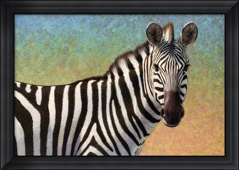 Framed Portrait Of A Zebra Print