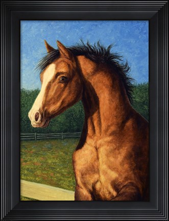 Framed Stir Crazy Print