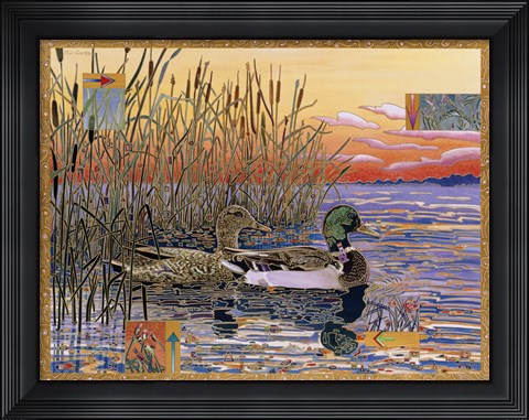 Framed Mallards at Dawn Print
