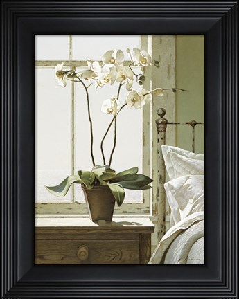 Framed Orchids In The Window Print
