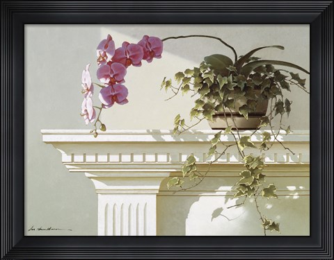 Framed Orchid On Mantle Print