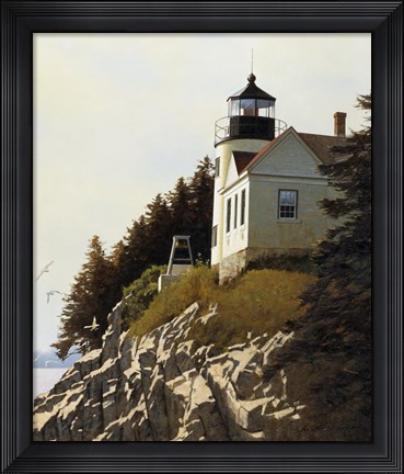 Framed Cliff Print