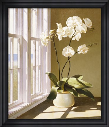 Framed Pot Of Orchids Print