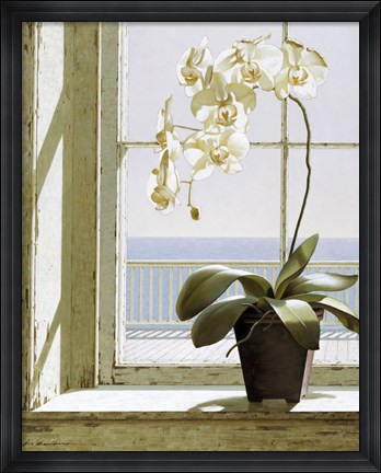Framed Flower In Window Print