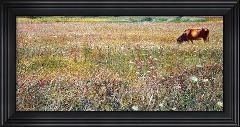 Framed Roman Countryside 1903 Print