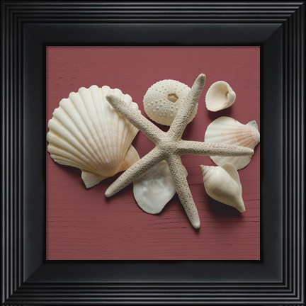 Framed By the Shore I Print