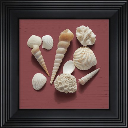 Framed By the Shore II Print