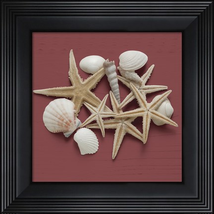 Framed By the Shore III Print