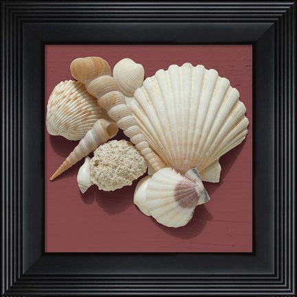 Framed By the Shore IV Print