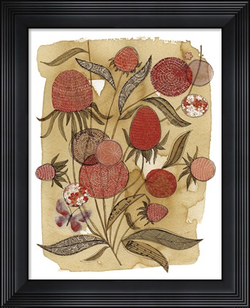 Framed Coneflower Print