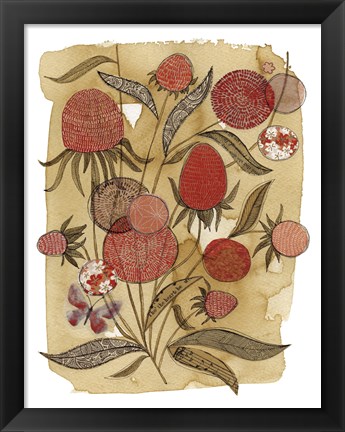 Framed Coneflower Print