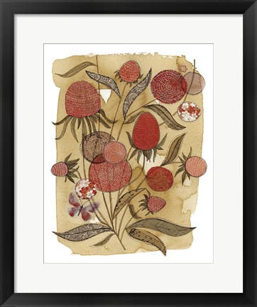 Framed Coneflower Print