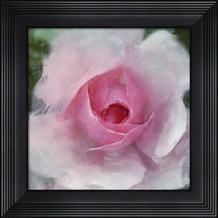 Framed Elegant Bloom I Print