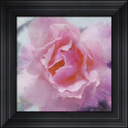 Framed Elegant Bloom II Print