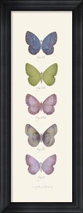 Framed Jardin des Papillons II Print