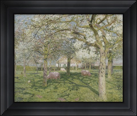 Framed Orchard in Springtime 1902 Print