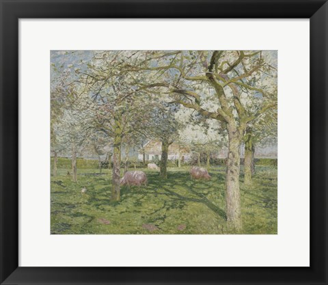 Framed Orchard in Springtime 1902 Print