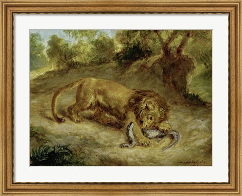 Framed Lion and Cayman, 1855 Print