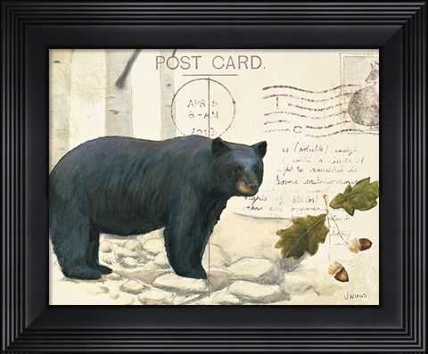 Framed Northern Wild IV Print