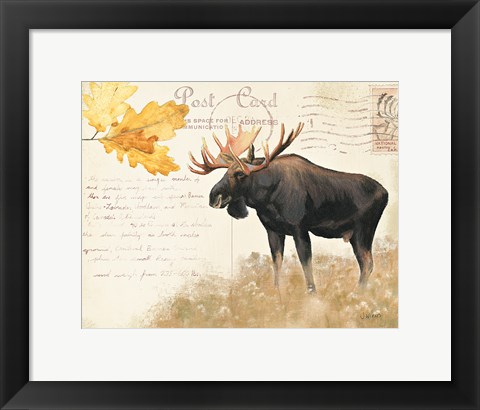 Framed Northern Wild III Print